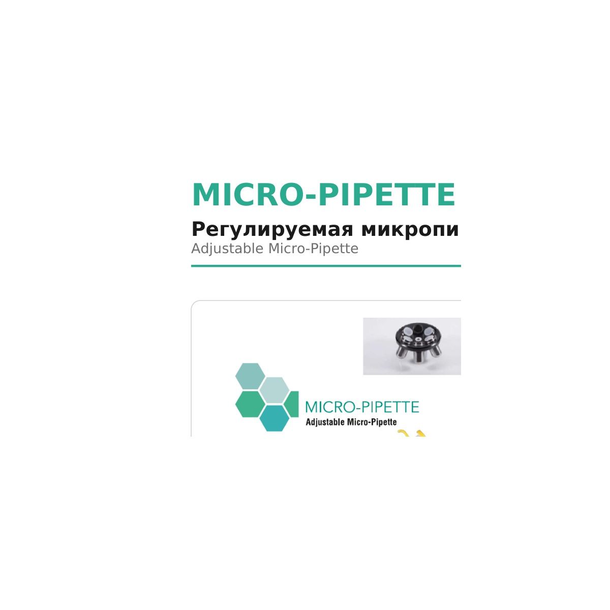 Microsystem MICRO-PIPETTE