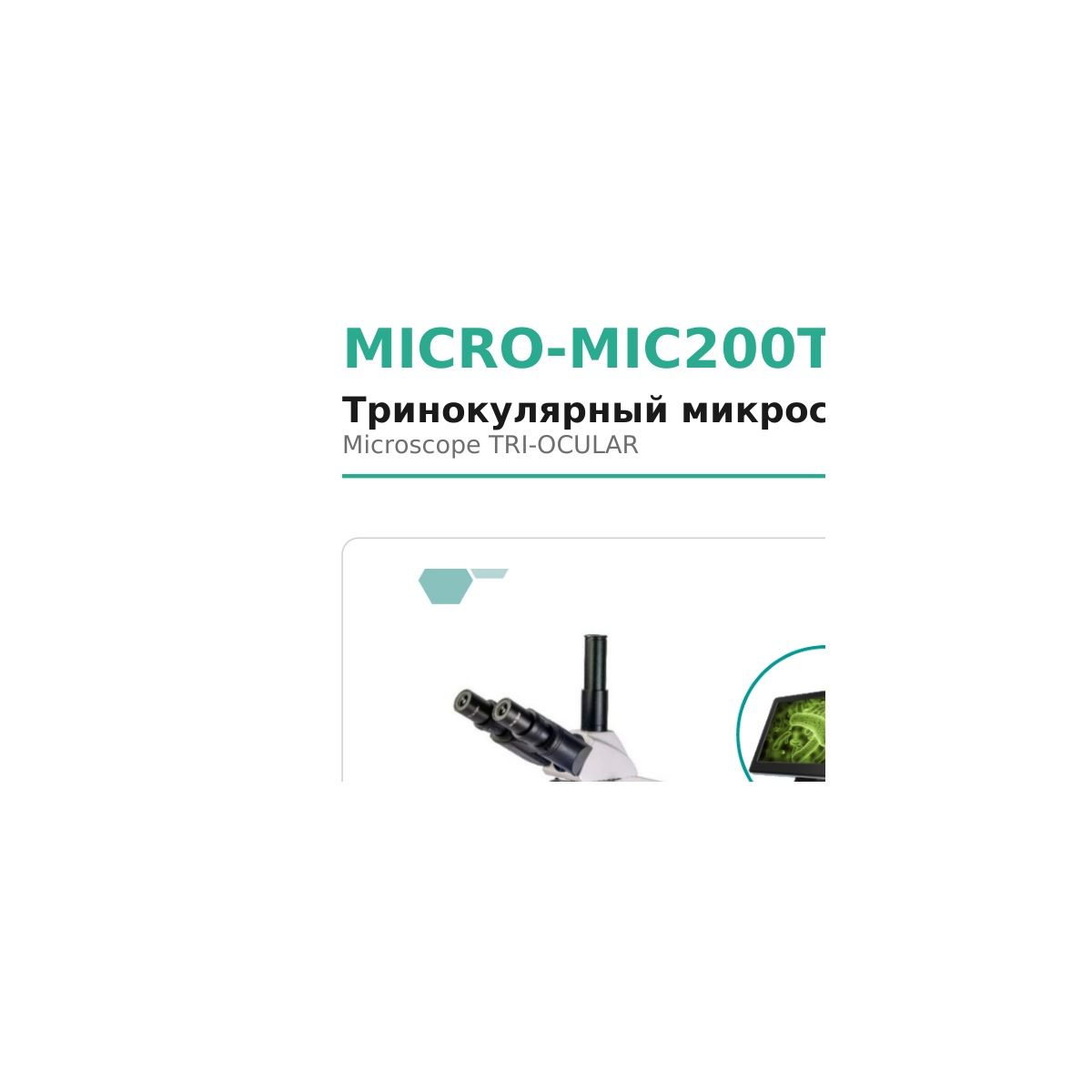 Microsystem MICRO-MIC200T