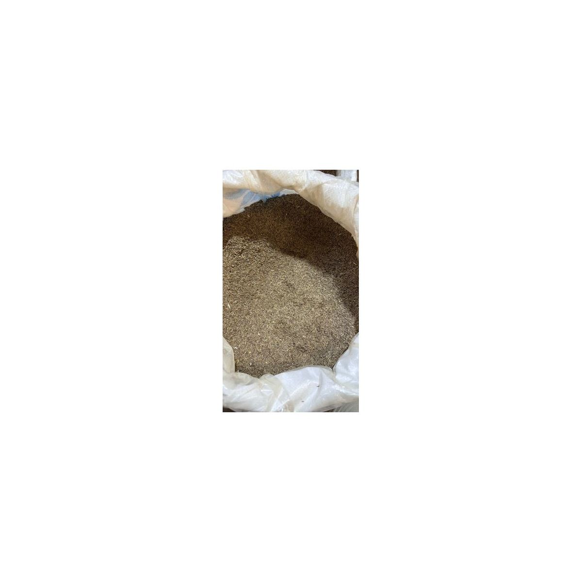 Food Wholesale Зира (кумин), Семена — оптом