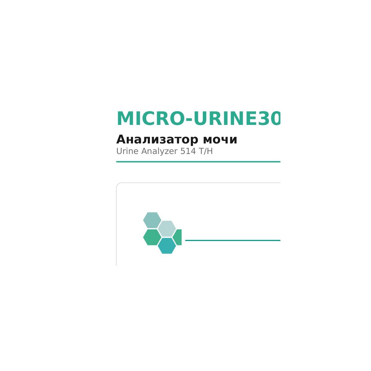 Microsystem MICRO-URINE300