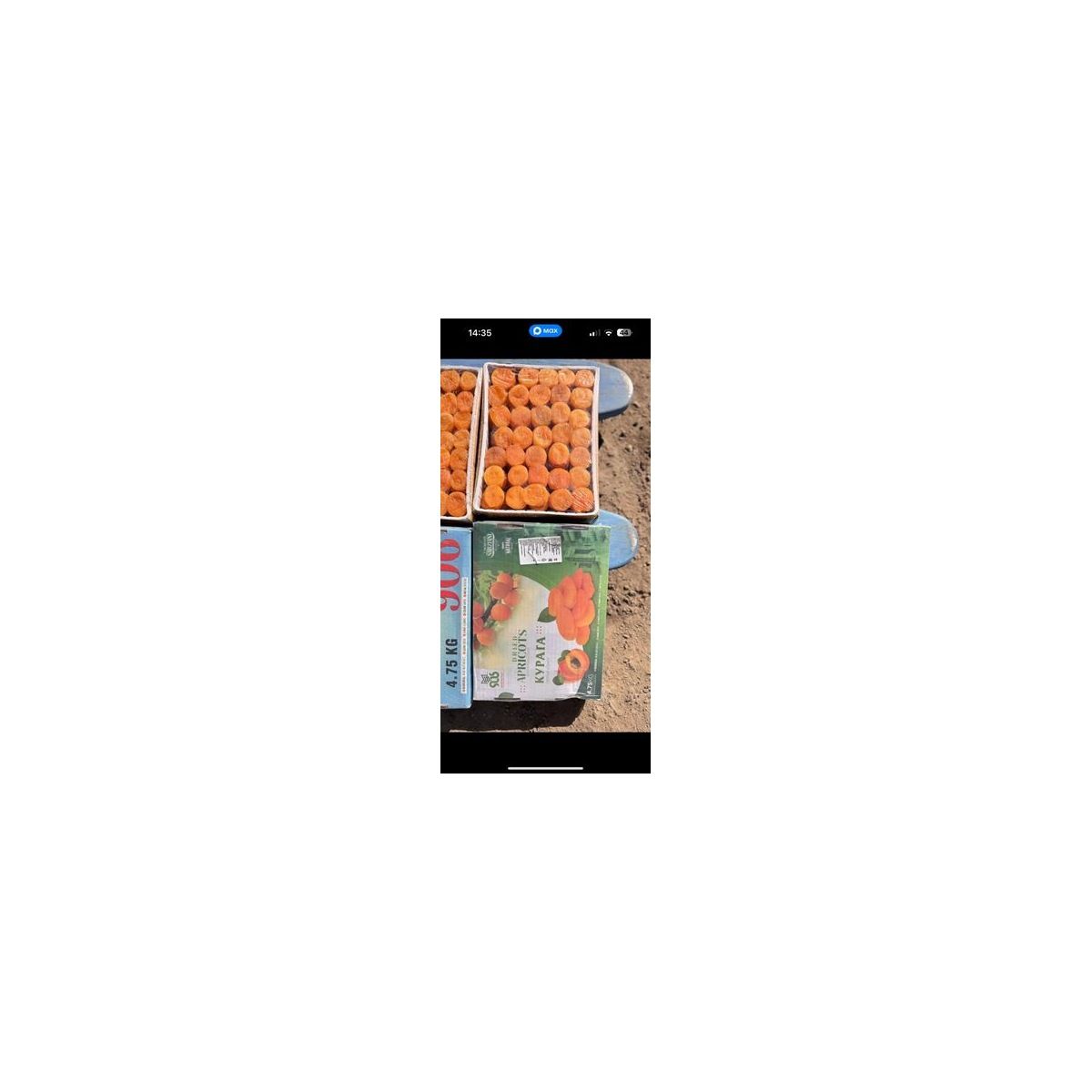 Food Wholesale Курага Супер Джамбо, 4.75 кг — оптом