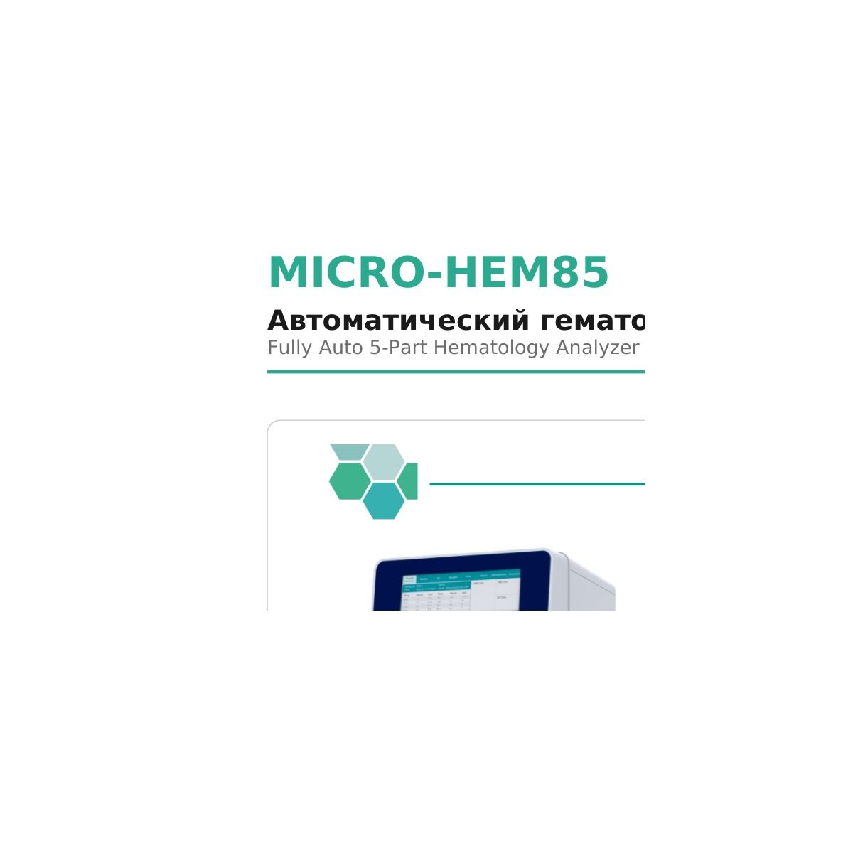 Microsystem MICRO-HEM85