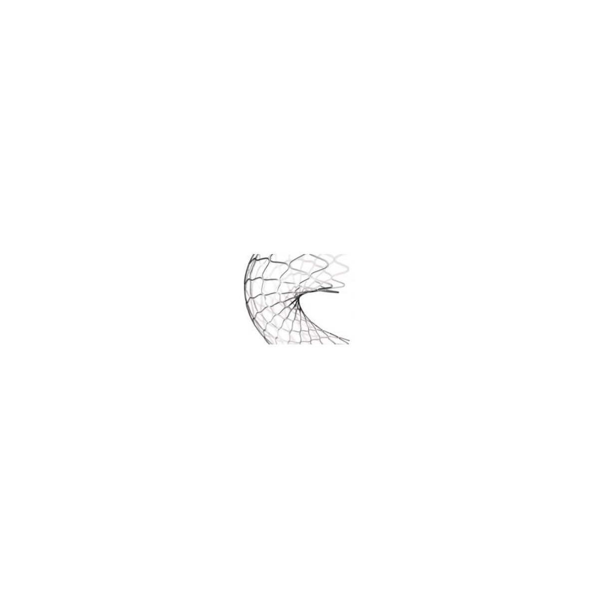 Medtronic Endeavor Resolute