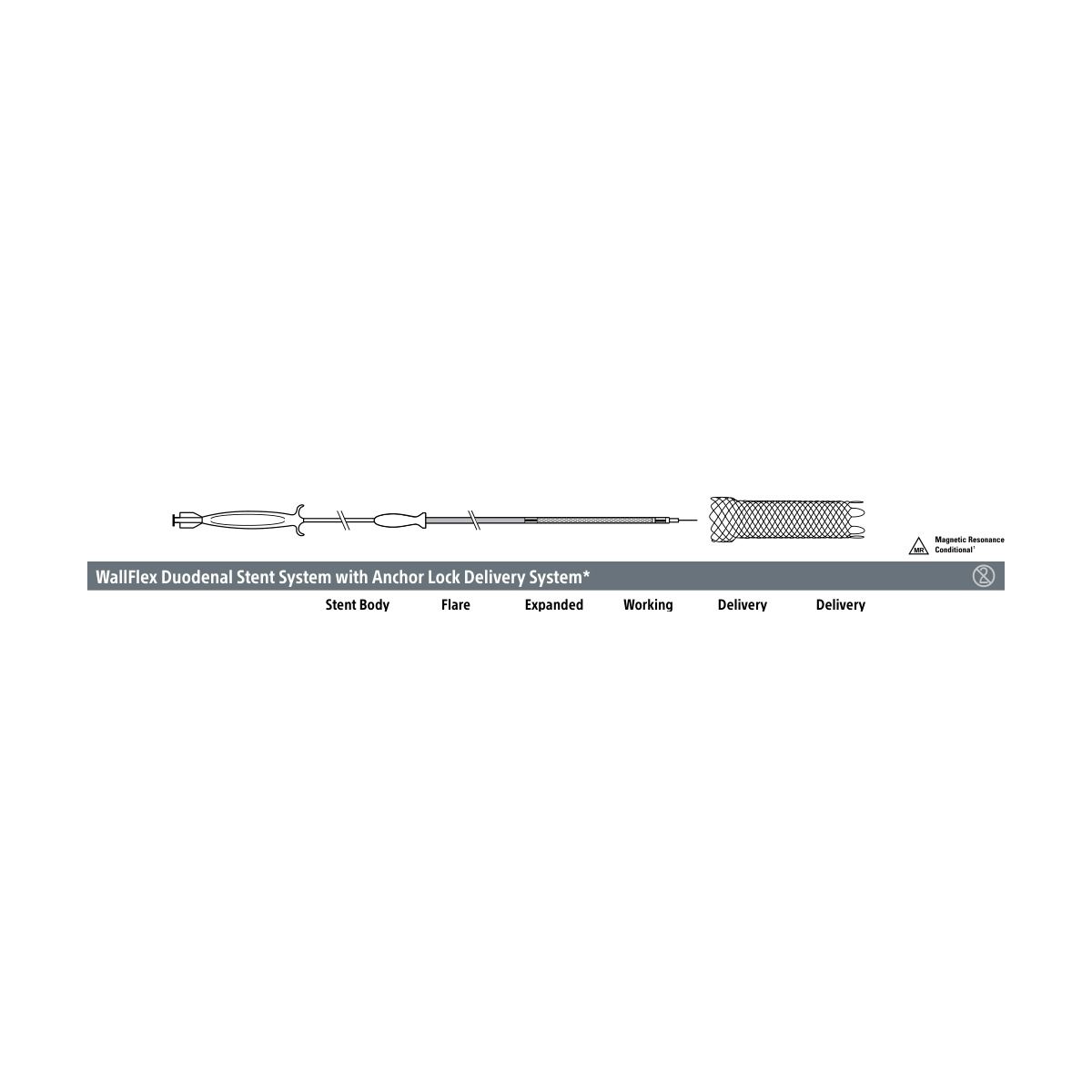 Boston Scientific WallFlex Duodenal Stent System with Anchor Lock Delivery System*