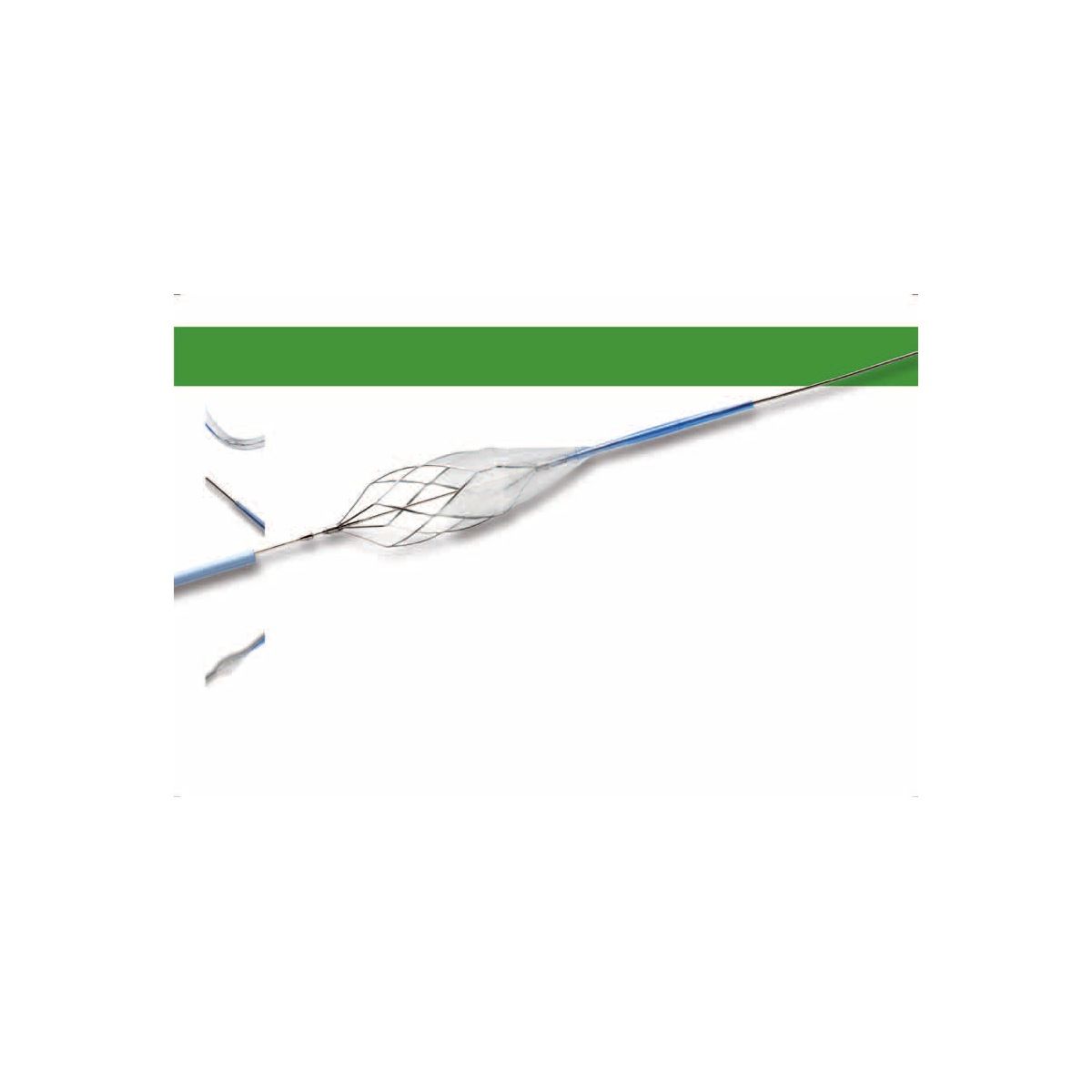 Abbott Vascular RX Accunet