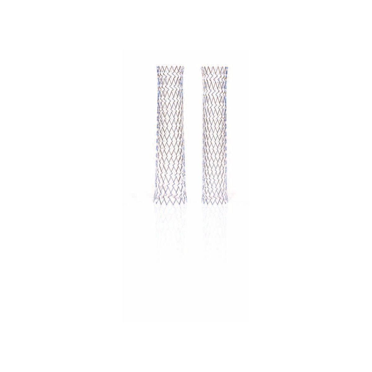 Abbott Vascular Xact
