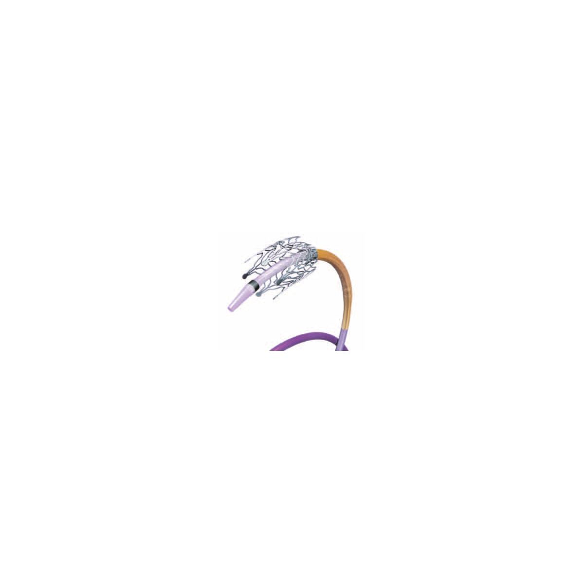 Abbott Vascular Absolute Pro