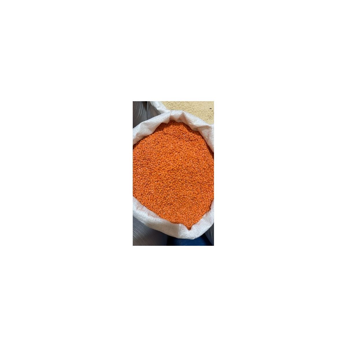 Food Wholesale Чечевица красная, Красная колотая — оптом