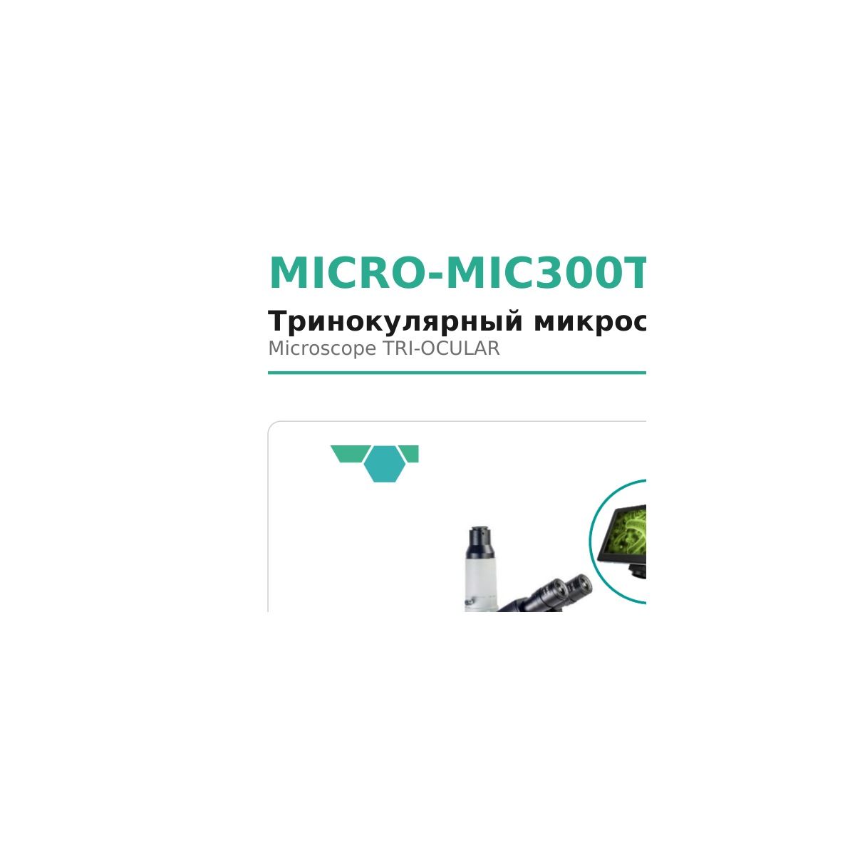 Microsystem MICRO-MIC300T